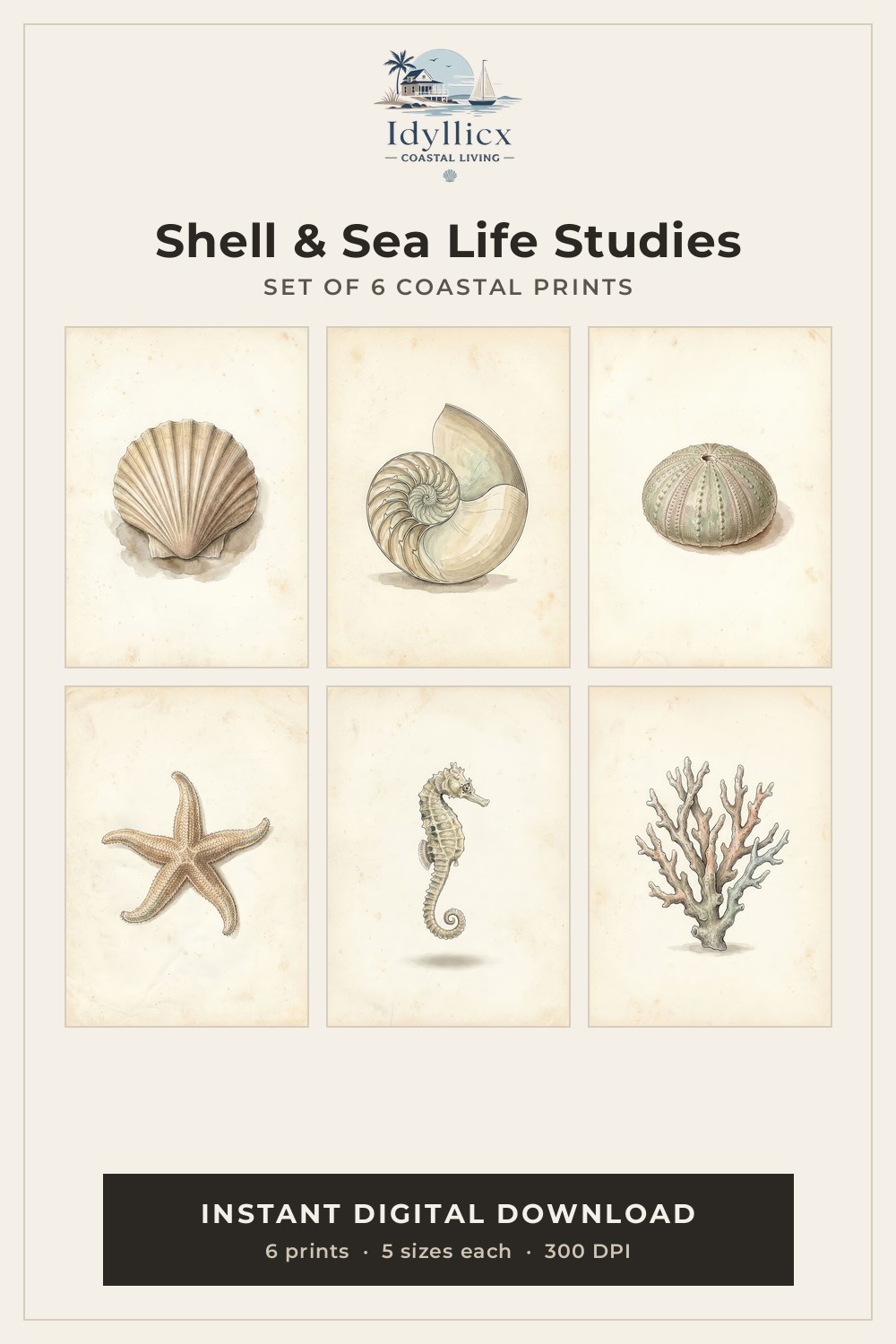 Shell and sea life wall art — set of 6 vintage naturalist prints, Idyllicx cover
