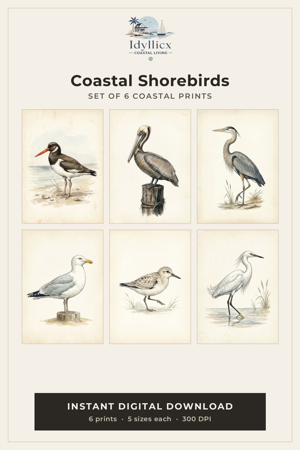 Coastal Shorebirds — Vintage Naturalist Print Set (6 Prints)